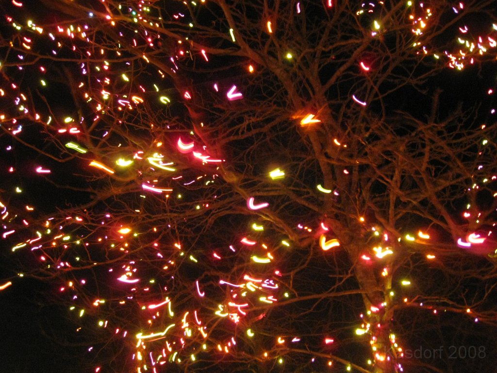 Toledo Zoo Lights 2008 012.jpg - The regular visit to the Toledo Ohio Zoo to see the Christmas Lights displays. New this trip were the "Dancing Lights", displays flashing in time with the Christmas Songs.
